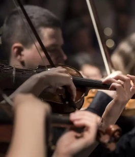 Deutsche Sinfonietta Berlin