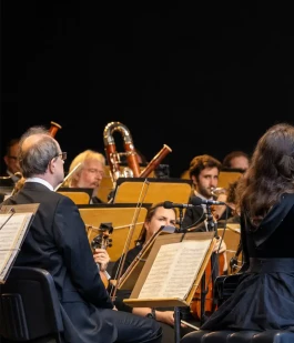 Deutsche Sinfonietta Berlin