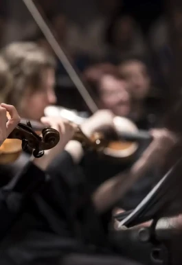 Deutsche Sinfonietta Berlin