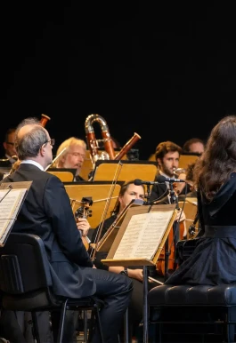 Deutsche Sinfonietta Berlin