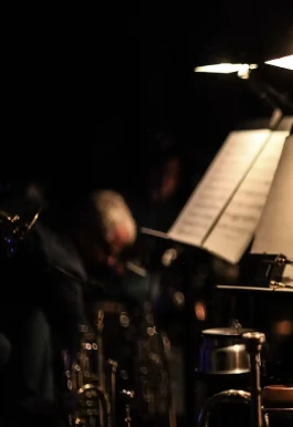 Deutsche Sinfonietta Berlin