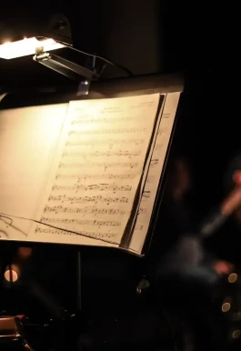 Deutsche Sinfonietta Berlin